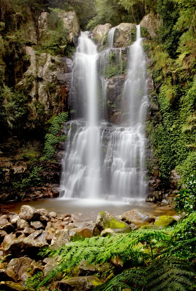 Cataratas de Minnamurra — Foto de Stock