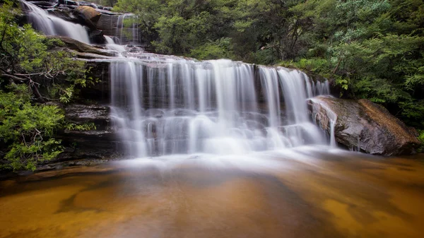 Wentworth Falls — Stockfoto