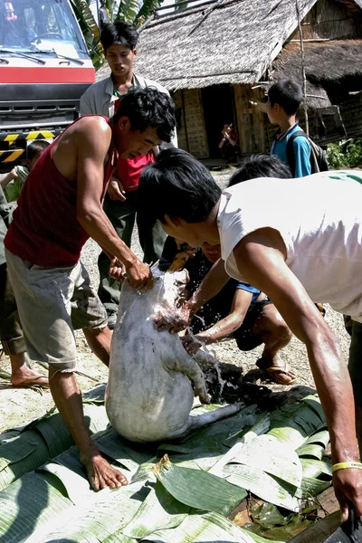 Обычно стиль жизни в Лаосе — стоковое фото