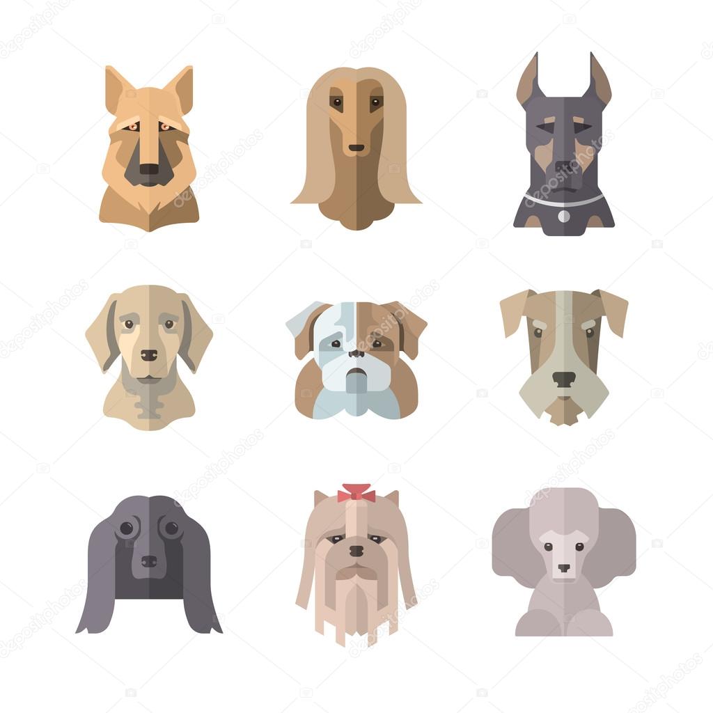 Popular breeds of dogs. 9 flat icons isolated on white