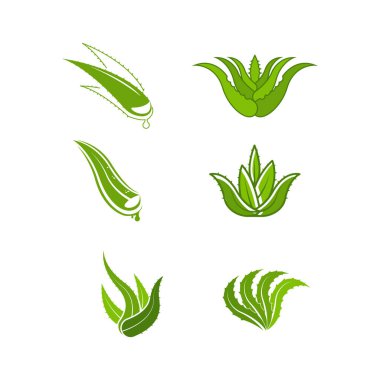 Aloe Vera Vector simge tasarım örnekleme şablonu