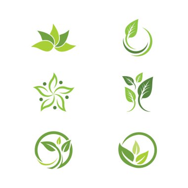 Yeşil Ağaç Yaprağı ekolojisi doğa element tasarımı