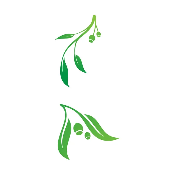 オリーブの葉ベクトルイラストデザインテンプレート — ストックベクタ