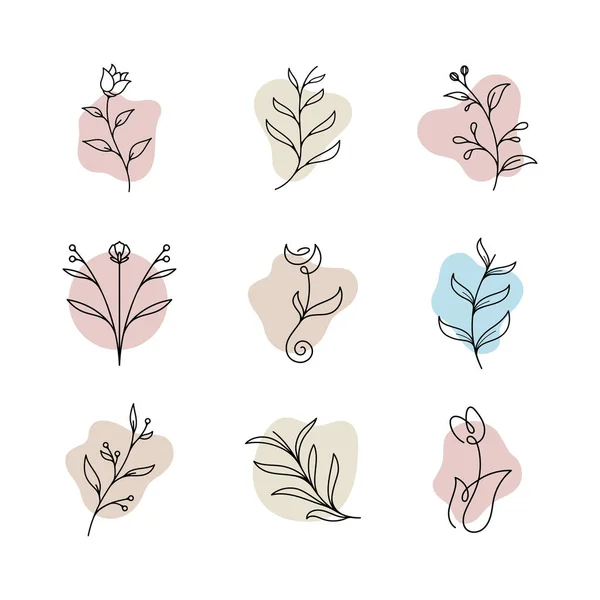 Belleza Florista Vector Icono Diseño Plantilla — Vector de stock