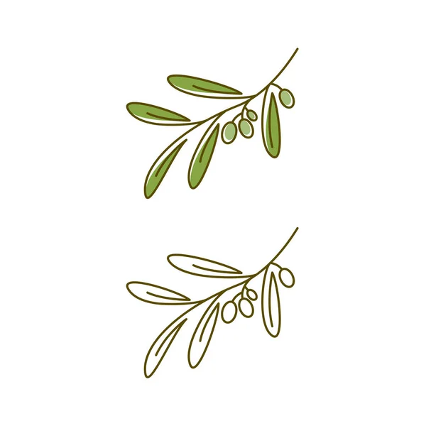 Olive Symbol Vektor Illustration Design Vorlage — Stockvektor