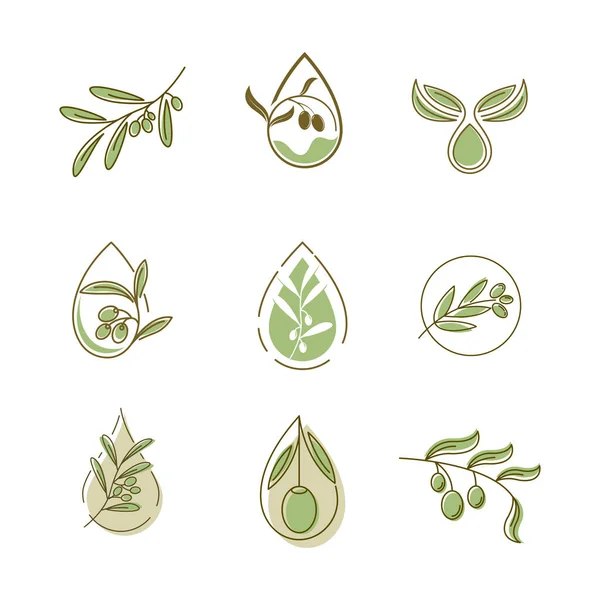 Olive Symbol Vektor Illustration Design Vorlage — Stockvektor