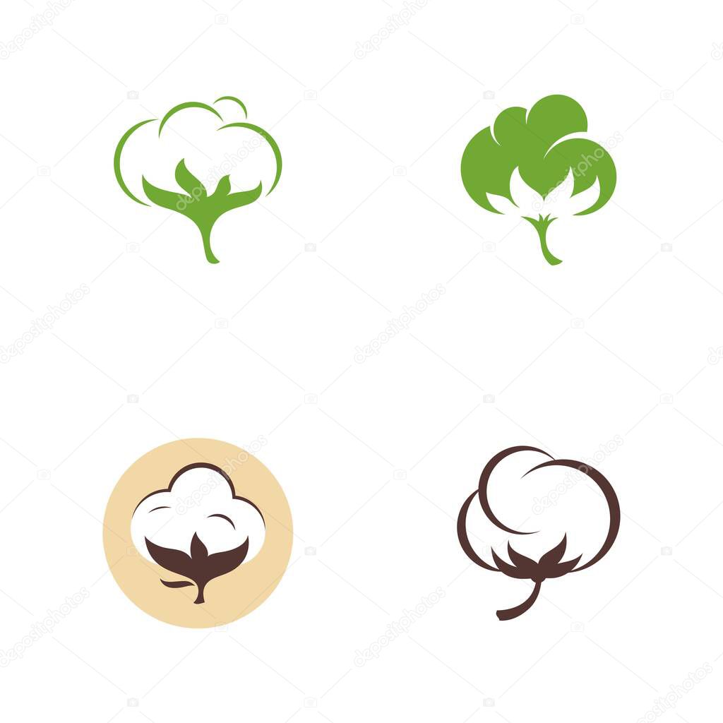 Cotton flower vector icon template symbol nature