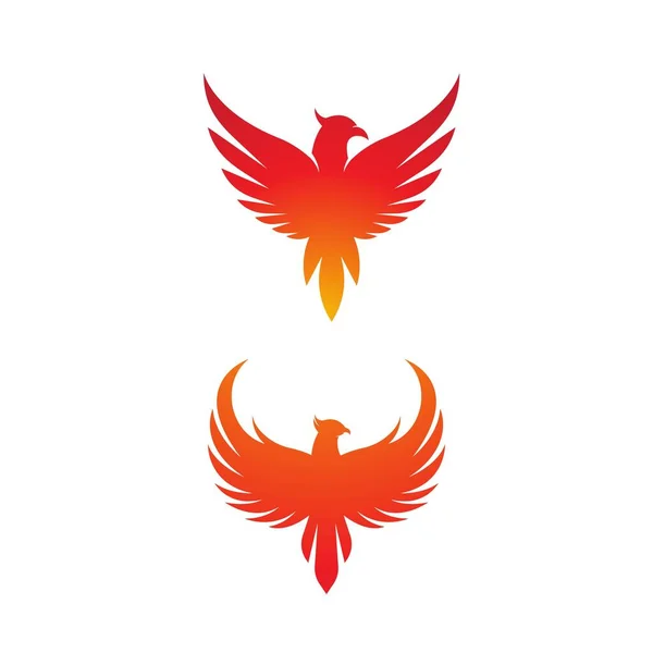 Πρότυπο Σχεδιασμού Εικονογράφησης Διανύσματος Phoenix — Διανυσματικό Αρχείο