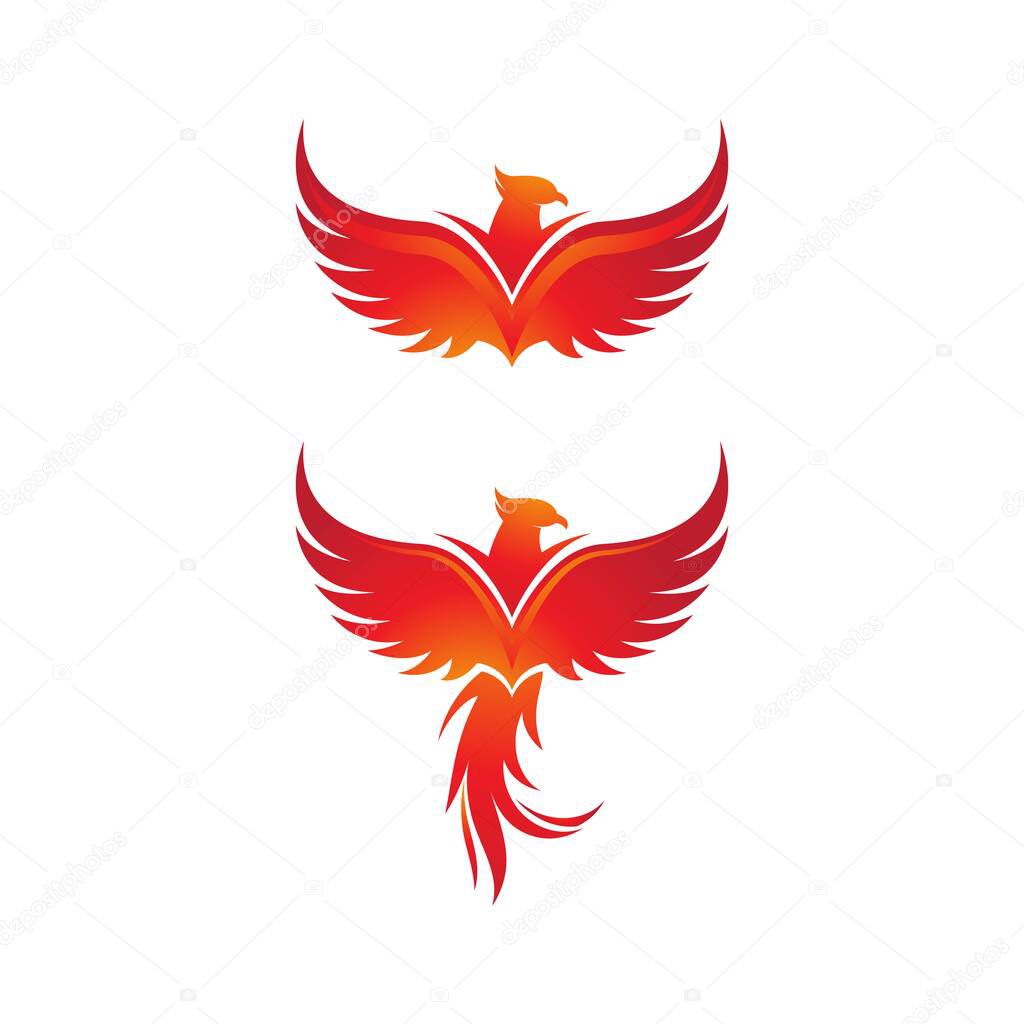 Phoenix vector icon illustration design template