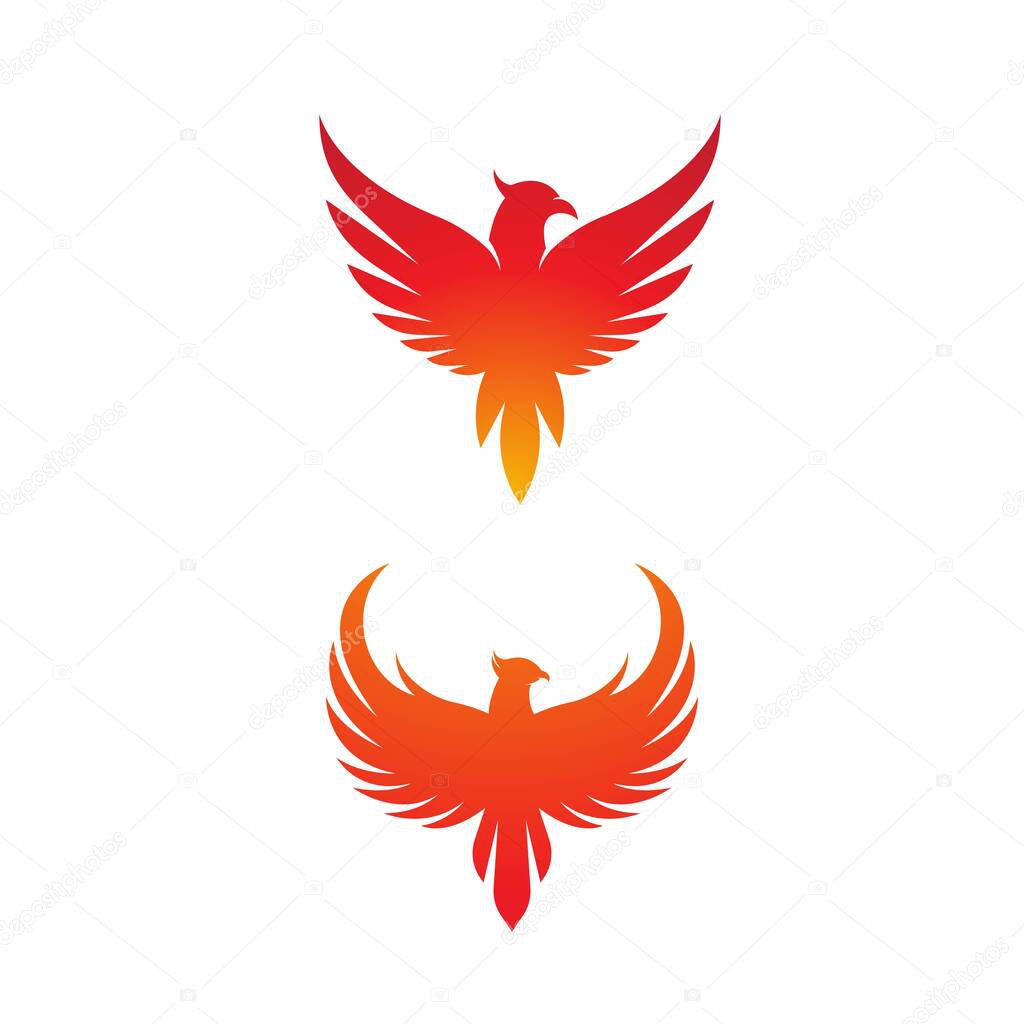 Phoenix vector icon illustration design template