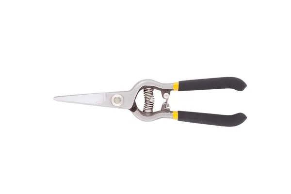 Pruning shear. — Stock Photo, Image