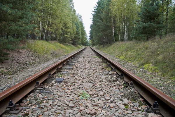 Railroad Tracks — Stock Photo, Image