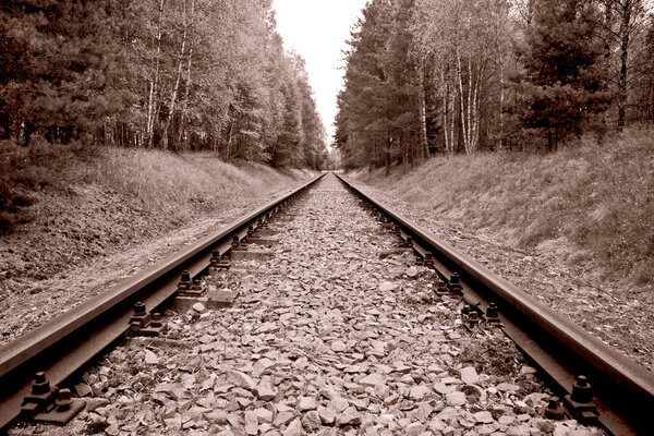 Железнодорожные пути
