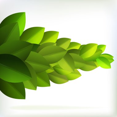 taze yeşil yaprakları yaz tasarımı için. + eps10