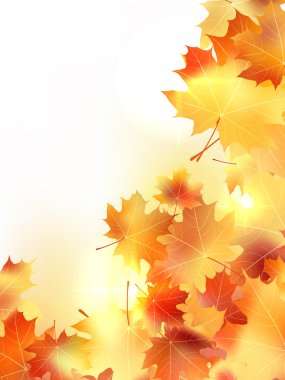 arka plan ile akçaağaç sonbahar yaprakları. artı eps10