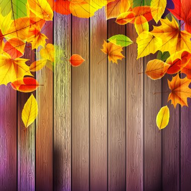 жовтий мокрій Осіннє листя на задньому плані. eps10arka planda sarı ıslak sonbahar yaprakları. eps10