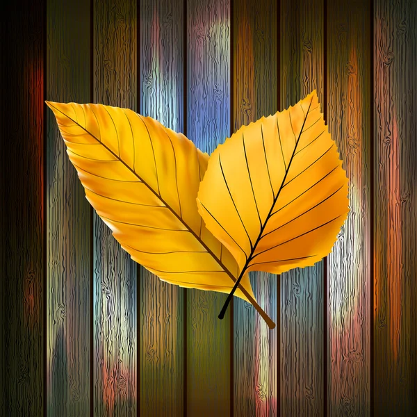 Otoño Hojas sobre fondo de madera. más EPS10 — Vector de stock