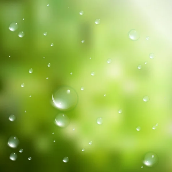 Gocce d'acqua su sfondo verde. più EPS10 — Vettoriale Stock