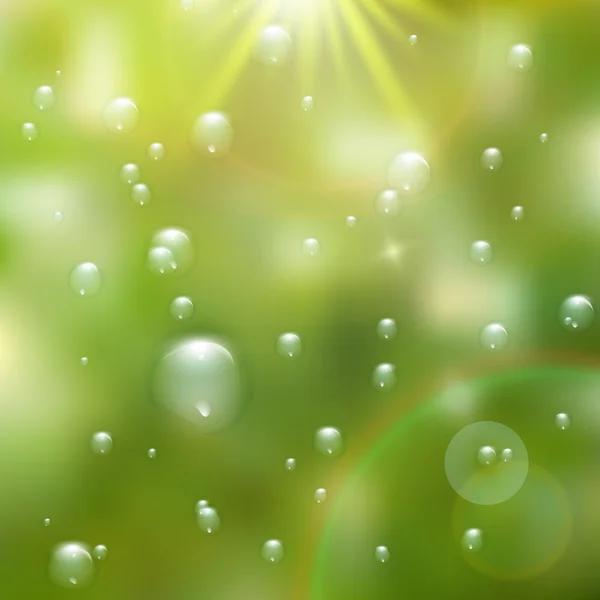 Gotas de agua sobre fondo verde. más EPS10 — Archivo Imágenes Vectoriales