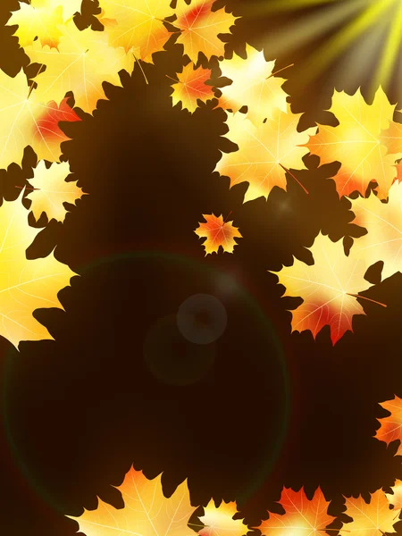 Autumn leaves on colorful. plus EPS10 — Stock Vector