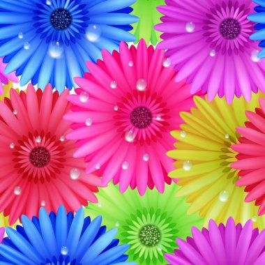 Dikişsiz çiçek gerbera bilmece.