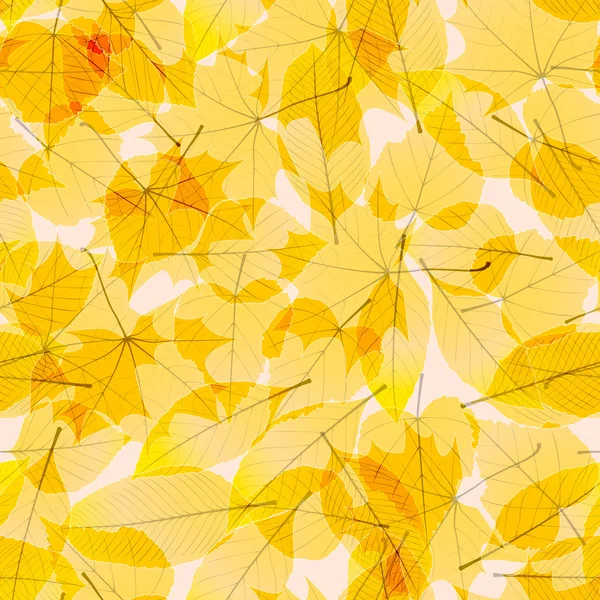 Transparent Autumn Leaves. plus EPS10 — Stock Vector