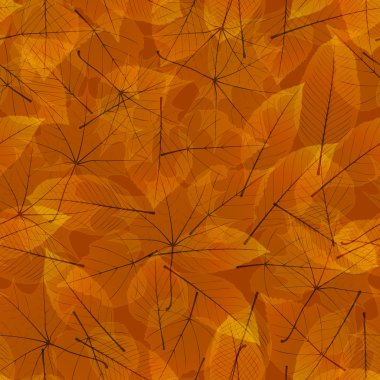 şeffaf sonbahar yaprakları. artı eps10