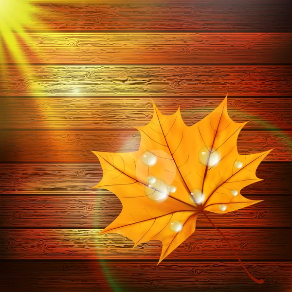 Autumn Leaf template. plus EPS10 — Stock Vector