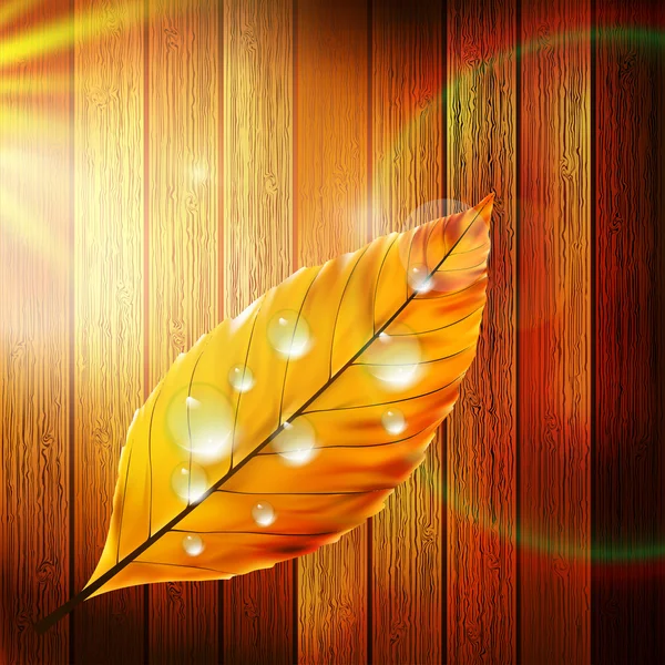 Autumn Leaf template. plus EPS10 — Stock Vector