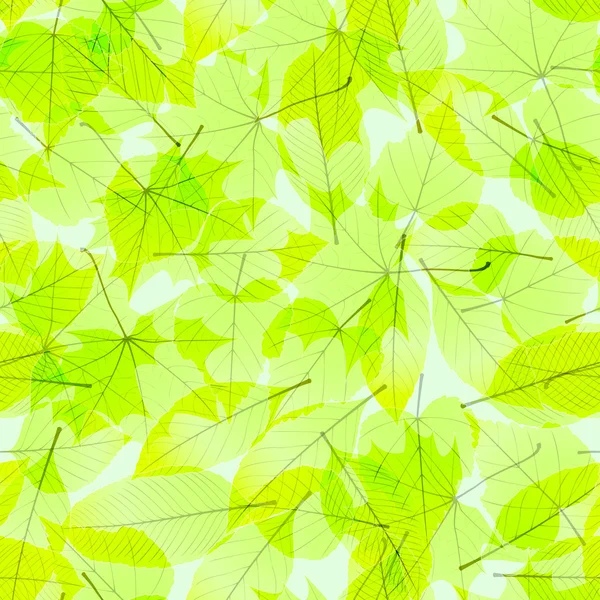 Διαφανή Φθινοπωρινά φύλλα. συν eps10 — Διανυσματικό Αρχείο