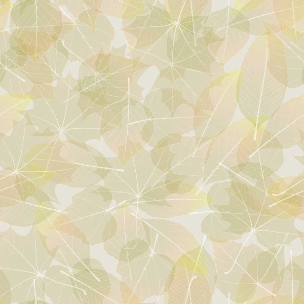 Πολύχρωμα φύλλα του φθινοπώρου. συν eps10 — Διανυσματικό Αρχείο