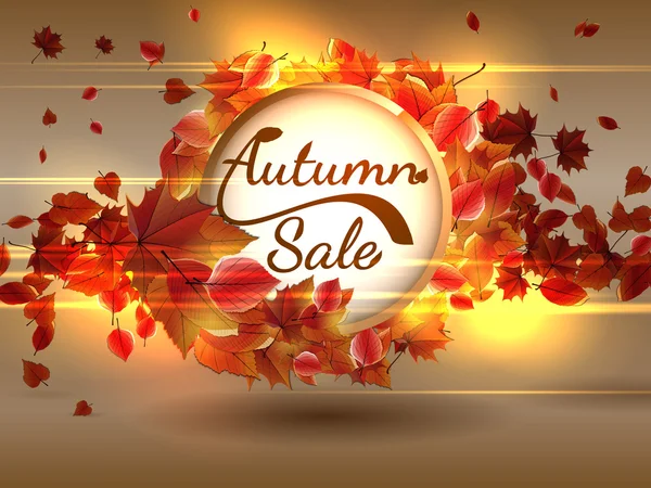 Autumn Sale background with copyspace. plus EPS10 — Stock Vector