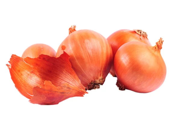 Fresh bulbs of brown onion isolated on white background — Stock Photo, Image