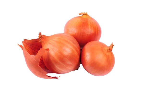 Świeże cebule cebuli na białym tle — Zdjęcie stockowe