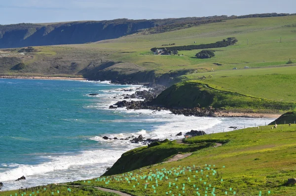 Beautiful view of the shoreline. Seascape at South Australia. — Stock Photo, Image