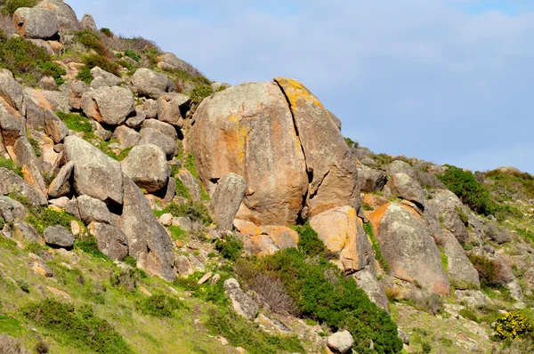 Rocky hill med grönt gräs. vackra landskap. Australien — Stockfoto