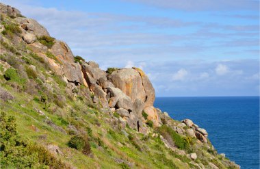 manzara. deniz kıyısı. Avustralya kıyı kıyı alanı. doğal görünümü ile yeşil tepeler.