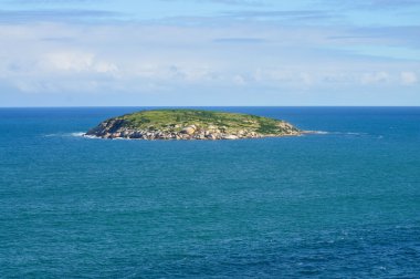 okyanus Adası. Avustralya. güzel sahil şeridi.