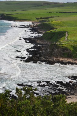 Avustralya güzel sahil şeridi