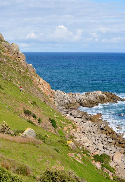 Paesaggio. Ore di mare. Zona costiera della costa australiana. Vista panoramica con verdi colline . — Foto Stock