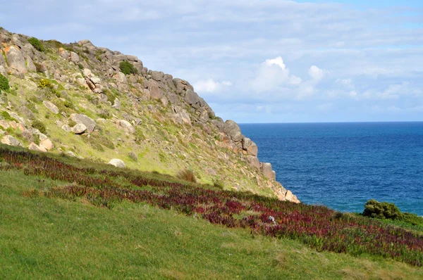 Landscape. Seashore. Coastal area of the Australian shore. Scenic view with green hills. — Stock Photo, Image