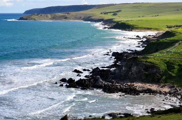 Пейзаж. Берег моря. Прибрежная зона австралийского побережья. Красивый вид с зелеными холмами . — стоковое фото