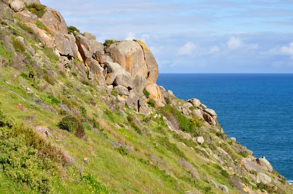 Landscape. Seashore. Coastal area of the Australian shore. Scenic view with green hills. — Stock Photo, Image