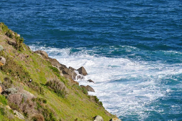 Landschap. Seashore. kustgebied van de Australische kust. schilderachtig uitzicht met groene heuvels. — Stockfoto