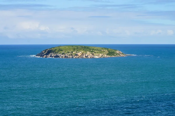 Island in the ocean. Australia. Beautiful coastline. — Stock Photo, Image