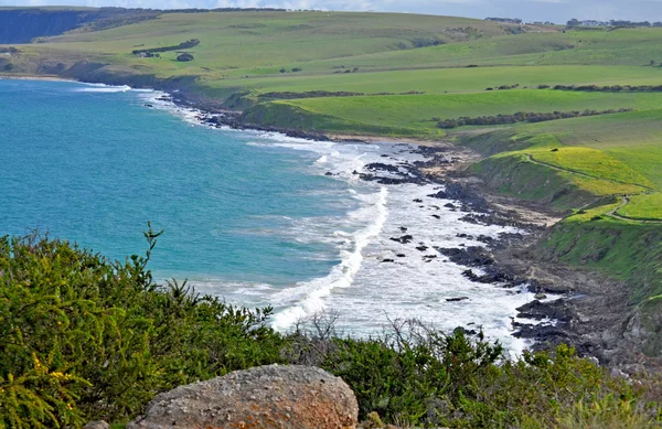 風景。オーストラリアの海岸の沿岸地域。緑豊かな土地を持つ風光明媚なビュー — ストック写真