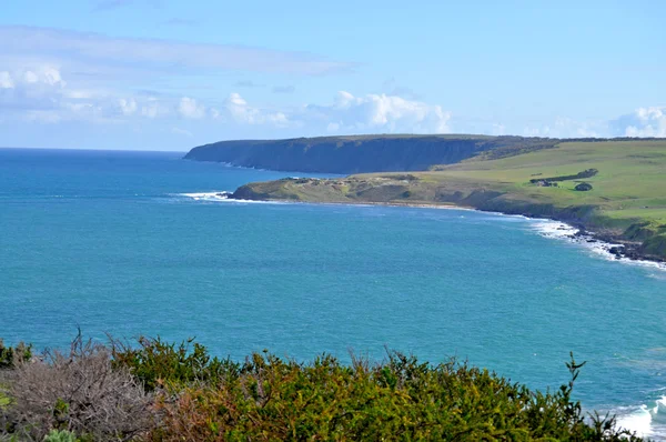 Paisaje. Zona costera de la costa australiana. Vista panorámica con tierra verde — Foto de Stock