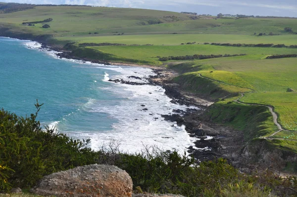 Landschaft. Küstengebiet der australischen Küste. Aussichtsreiche Aussicht mit grünem Land — Stockfoto