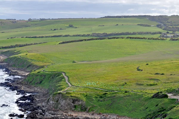 Landskap. kustområdet i den australiska kusten. vacker utsikt med grön mark — Stockfoto