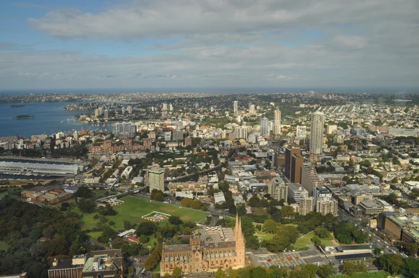 シドニー タワーからの眺め。シドニーの市内中心部 — ストック写真